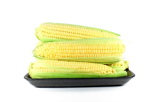 Corn cob sweetcorn ready for cooking isolated on white