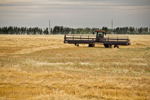 A Combine harvester in a wheet field in Saskatchewan, Canada