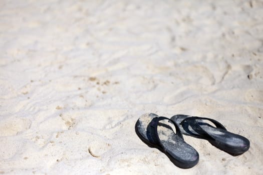 The Beach sandal on the sandy sea coast