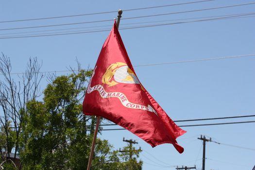 US Marines flag close up.