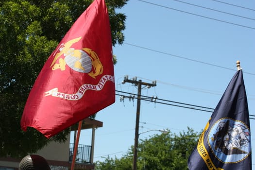 US Marines and Navy flags close up.