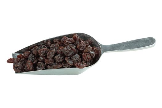 Scoop of raisins isolated on a white background with clipping path included.