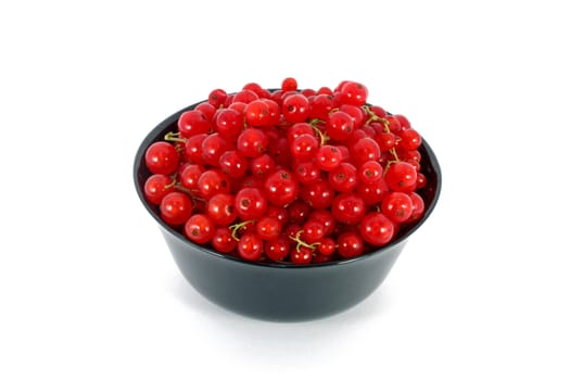Red currants in black bowl, isolated on white