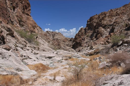 The harsh terrain of Grapevine Canyon in Nevada.
