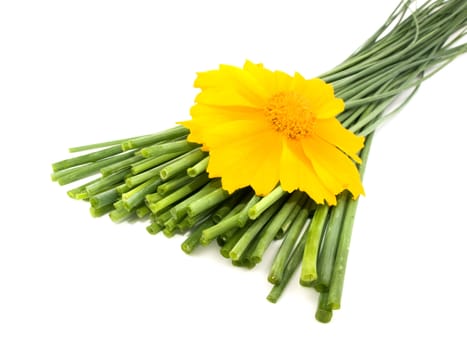 Fresh chives and yellow sunflower on white background