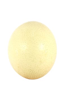 Big ostrich egg isolated on white background