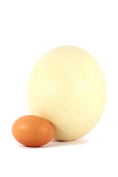 Chicken and ostrich eggs isolated on white