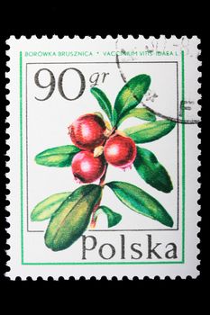 Poland - CIRCA 1974: A stamp is printed in Poland and visited Cowberry, let out CIRCA in 1974.