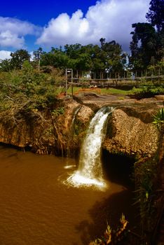 Paronella Park Vegetation in Queensland, Australia