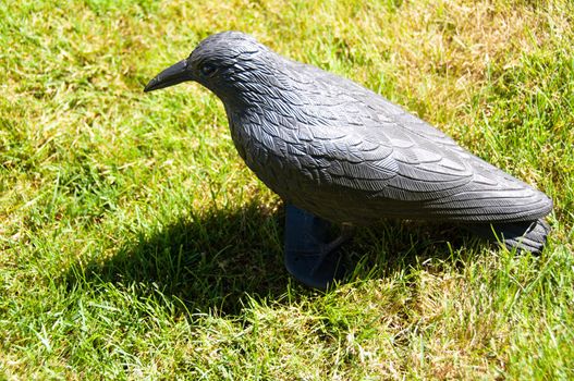 Black plastic bird acting as a scarecrow sitting in the meadow