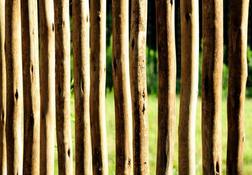 wooden fence on a farm made of rough cut branches