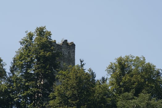 castle ruin behind trees
