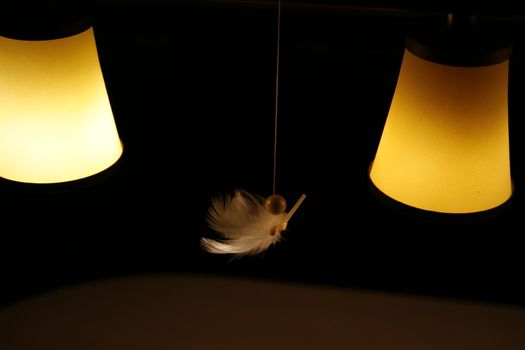 angle before a black background, lamps