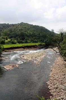 A beautiful stream in the Indian countryside.