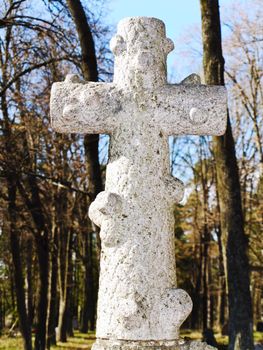 photo of graveyard cross in the forest