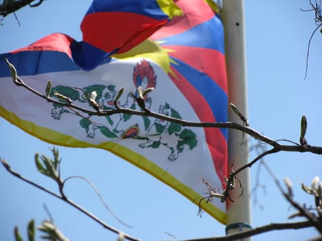 flag of Tibet and branches in tyrol