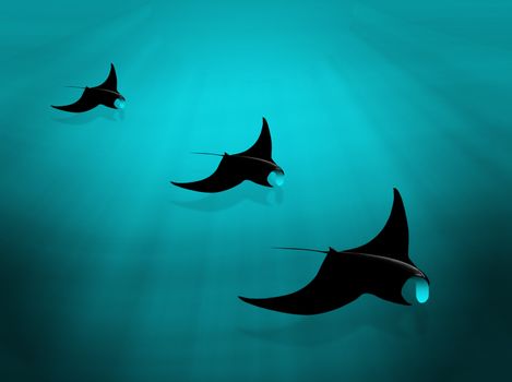 illustration with three manta rays swimming on the seabed