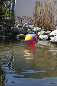 a beach ball on a pond