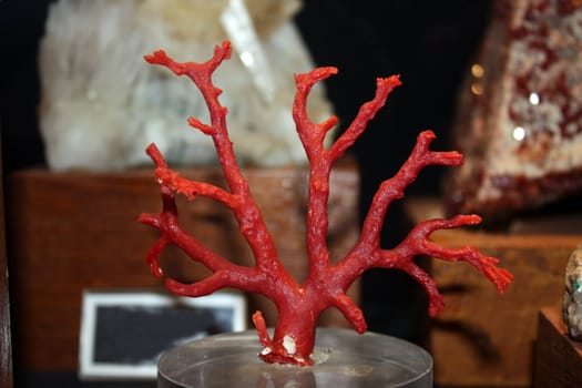 A rarely found red natural crystal rock in the shape of a tree.