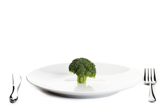 one green broccoli on a plate with knife and fork