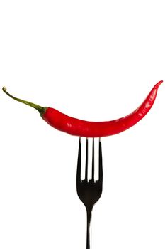 one red chili on a fork on white background