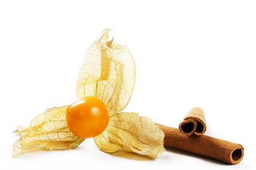 one physalis and two cinnamon sticks on white background