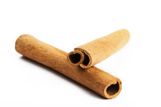 two brown cinnamon sticks in white backgorund