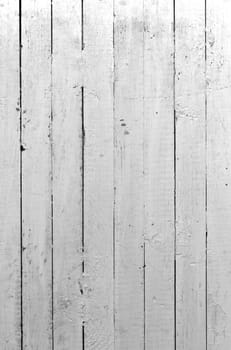 the background of weathered white painted wood