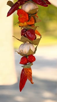 Several types of hot peppers and garlic