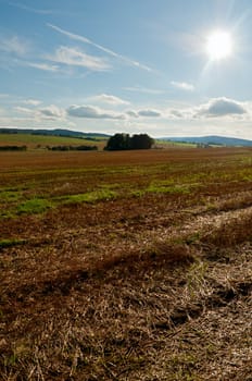 Rural Landscape - Harvested Agricultural Field and Blue Sky