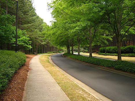 A photograph of a quiet country road.