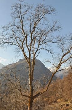 Panoramic view of a mountain winter scene