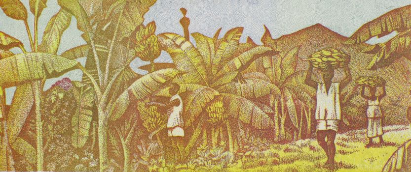 Harvesting Bananas on 100 Francs 1998 Banknote from Guinea.