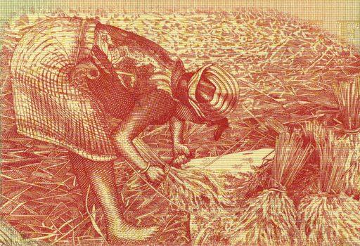 Woman Harvesting Rice on 1000 Rupiah 1987 Banknote from Indonesia.