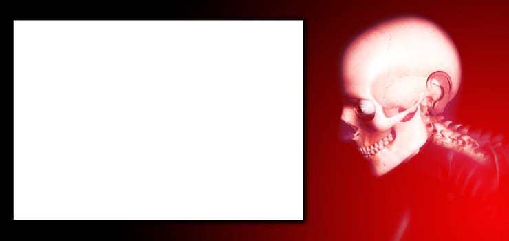 Skeleton head with a blank customizable sign for Halloween.