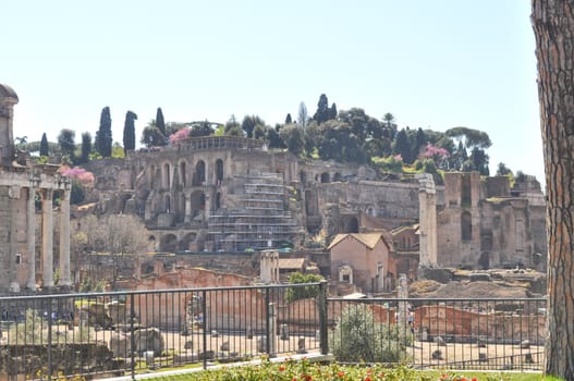 Ruins of the Roman Forum (Foro Romano) in Rome, Italy