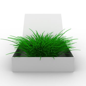 Open box with grass. Isolated 3D image