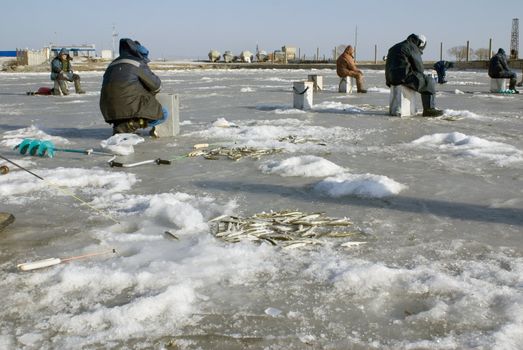  catch of fish in Japanese sea in winter