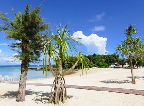 beach of okinawa