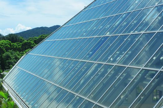 glass roof