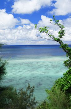 sea of okinawa