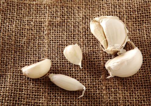 Garlic