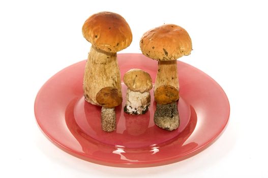 mushrooms on a red plate on a white background