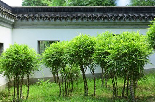 chinese garden