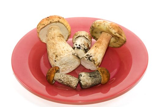 mushrooms on a red plate on a white background