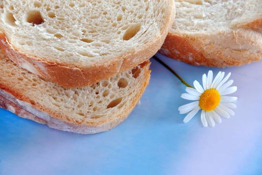 white wheat bread slices over blue background