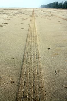 A long stretch of a tire track on the beach sand.