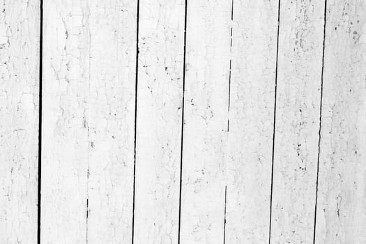 the background of weathered white painted wood