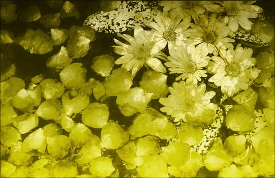 Fancy Floral Grunge Background Abstract a Art