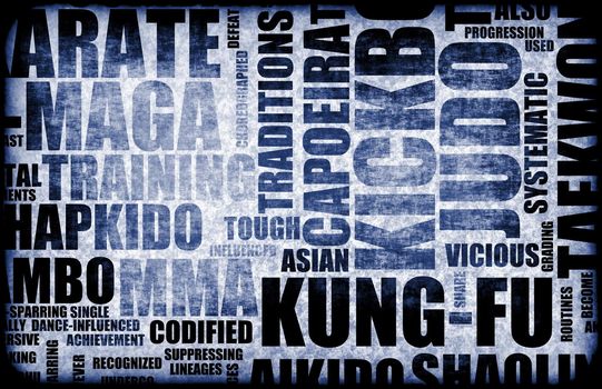 Kung Fu Martial Arts as a Fighting Style